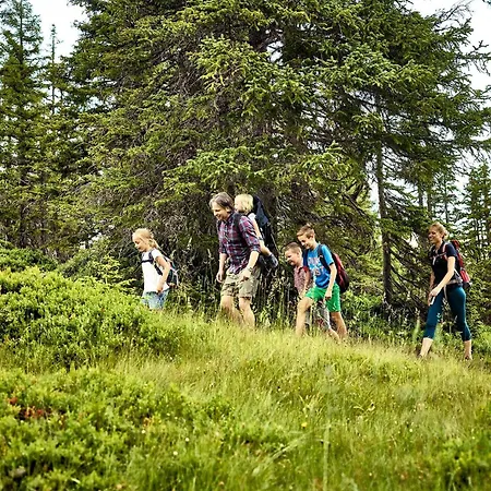 Hochalmbahnen Chalets 14W2, Esche, Nahe Gondel, Hunde Willkommen 아파트