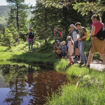 Hochalmbahnen Chalets 14W2, Esche, Nahe Gondel, Hunde Willkommen 아파트 라우리스