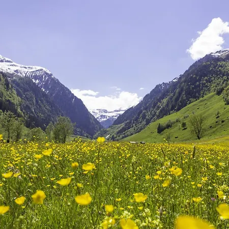 Hochalmbahnen Chalets 14W2, Esche, Nahe Gondel, Hunde Willkommen Apartmán *