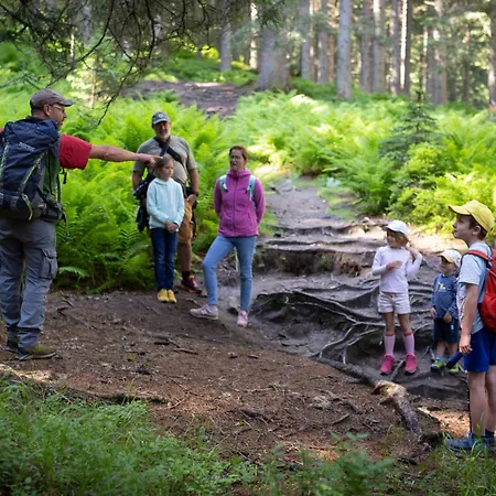 아파트 Hochalmbahnen Chalets 14W2, Esche, Nahe Gondel, Hunde Willkommen 라우리스