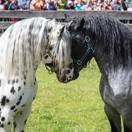 Hochalmbahnen 14w2, Esche, Nahe Gondel, Hunde Willkommen *