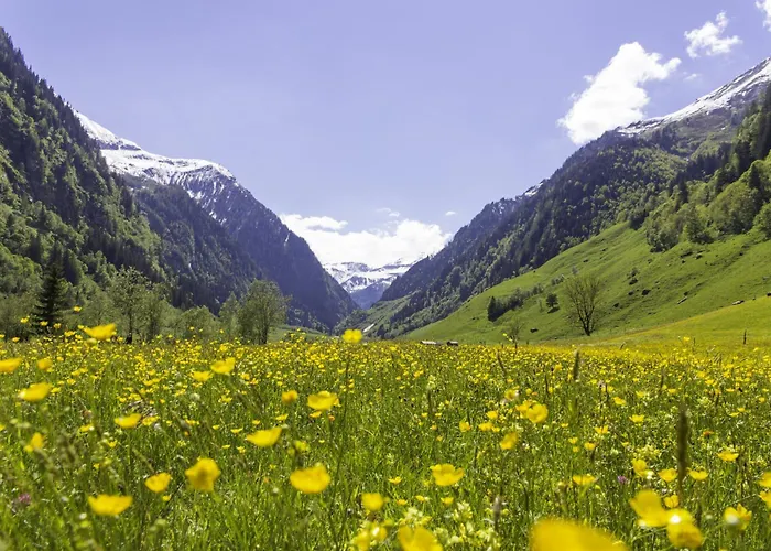 Hochalmbahnen Chalets 14W2, Esche, Nahe Gondel, Hunde Willkommen Apartmán *