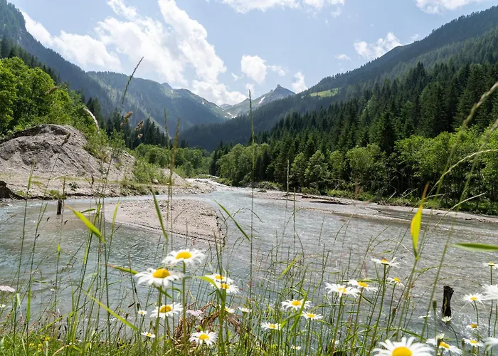 Hochalmbahnen Chalets 14W2, Esche, Nahe Gondel, Hunde Willkommen Apartmán *